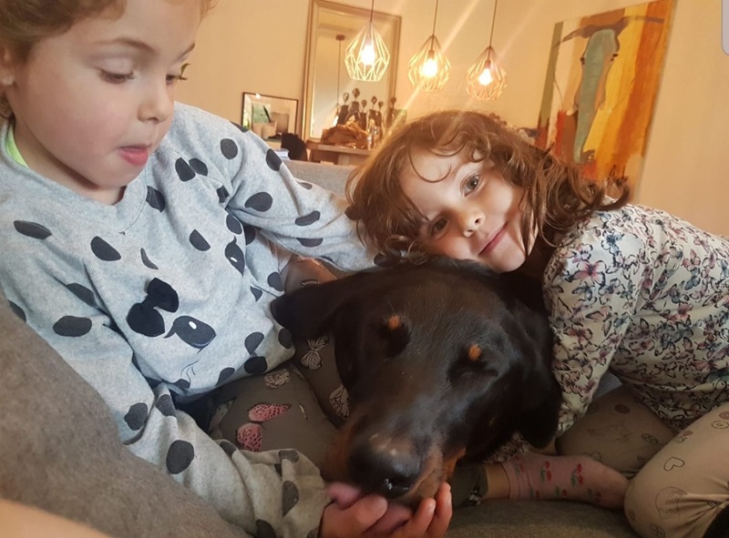 Nadja Grether, Beauceron Suisse Filou Royal, Seriöse Beauceron-Zucht in der Schweiz, Seriöse Beauceron-Züchter in der Schweiz, Passion Beauceron seit 1934, Beauceron-Welpen, Bosseron Welpen, Bosseron-Zucht, Bosseron Züchter, FCI-Papiere, Abstammungsurkunden der SKG, UCI-Papiere, SRZ-Papiere, Abstammungsurkunden SRZ/UCI